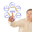 Foto: Presentation of contextual advertising Presentation of contextual advertising