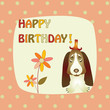 greeting card with a basset hound