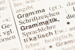 Grammatik im wörterbuch