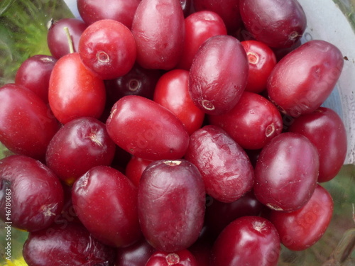 Photo: fruits fruits