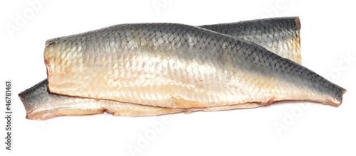 Photo: herring herring