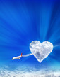 Arrow of the cupid