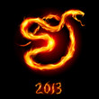 Card with snake