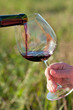 Wine pouring from bottle, outdoor