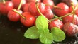 Třešně Cirera Ciliegia 버찌 Cerise Բալ