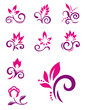 Floral elements. Vector icons of abstract flowers