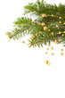 Christmas seasonal background with spruce and golden beads