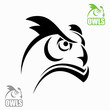 Horned owl head