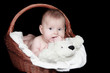 Portrait newborn baby in basket