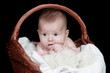 Portrait newborn baby in basket