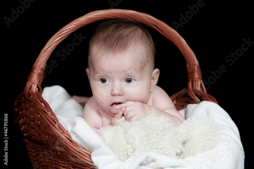 Photo: Portrait newborn baby in basket Portrait newborn baby in basket
