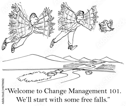 Illustration: The bird will start some free falls The bird will start some free falls