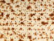 matzen brot