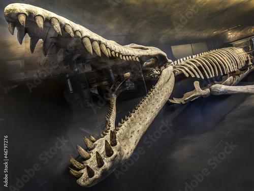 Illustration: Fossil Fossil