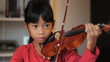 Proud Girl Finishing Practising Her Violin