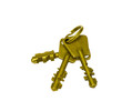 Old style brass keys