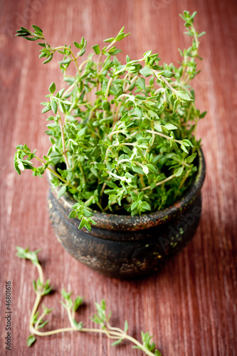 Photo: Fresh thyme Fresh thyme