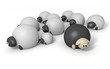 Black Sheep Characters