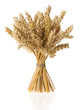 ears of wheat  isolated on white