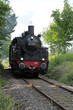 Dampflok Emil Mayrisch No. 3