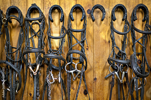 Photo: Horse bridles hanging in stable Horse bridles hanging in stable