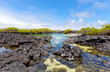 Galapagos islands