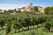 Village de Chateauneuf du Pape dans le vignes