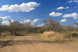 Foto: African landscape African landscape