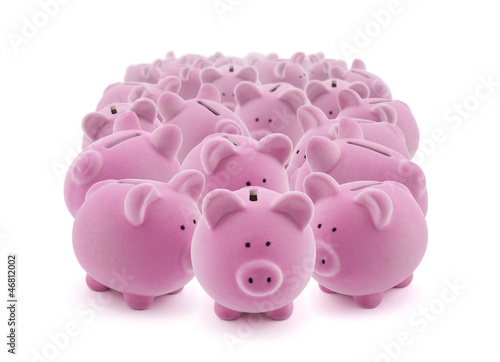 Photo: Large group of pink piggy banks Large group of pink piggy banks