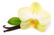 Vanilla sticks with flower