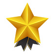 Golden Star with Bow