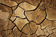 Dry Land