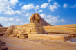 Photo: sphinx sphinx