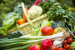 Organic vegetables