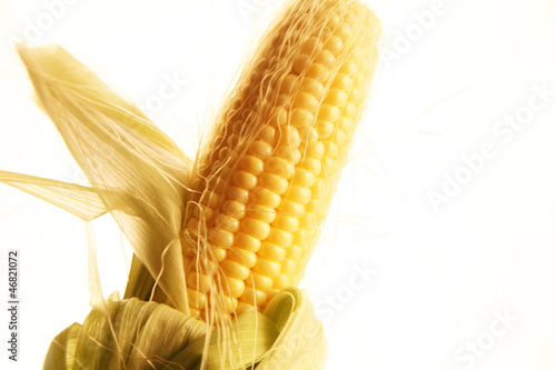 Photo: Mais Corn Mais Corn