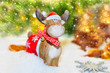 Weihnachtselch