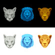 big cat set-lion, puma, jaguar