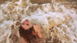 girl on the beach