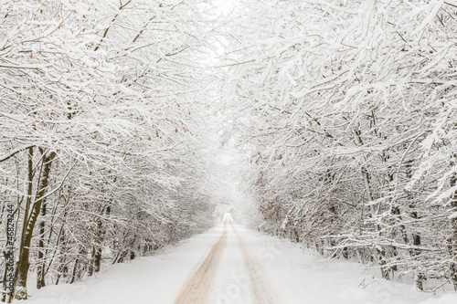 Photo: Winter landscape with road surrounded by trees Winter landscape with road surrounded by trees