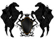 black winged horses with heraldic shield