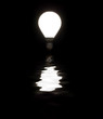 Light bulb shining with reflection in water on black