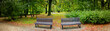 Autumnal park