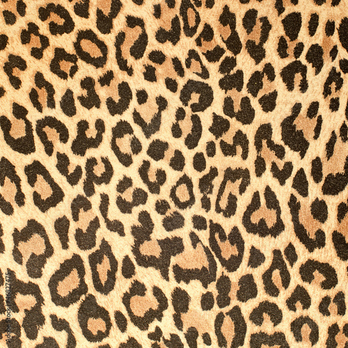 Photo: Leopard leather pattern texture closeup Leopard leather pattern texture closeup