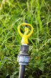 yellow sprinkler of watering