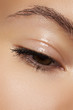 Eye with natural makeup. Moisturizing gel on eyelid