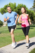 Senior Couple Exercising In Park