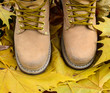 Photo: Walk in nature concept Walk in nature concept