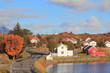 Foto: Lofoten's colours of october Lofoten's colours of october