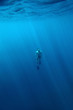 Freediver Freediver