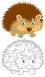 Vettoriale: Hedgehog Hedgehog